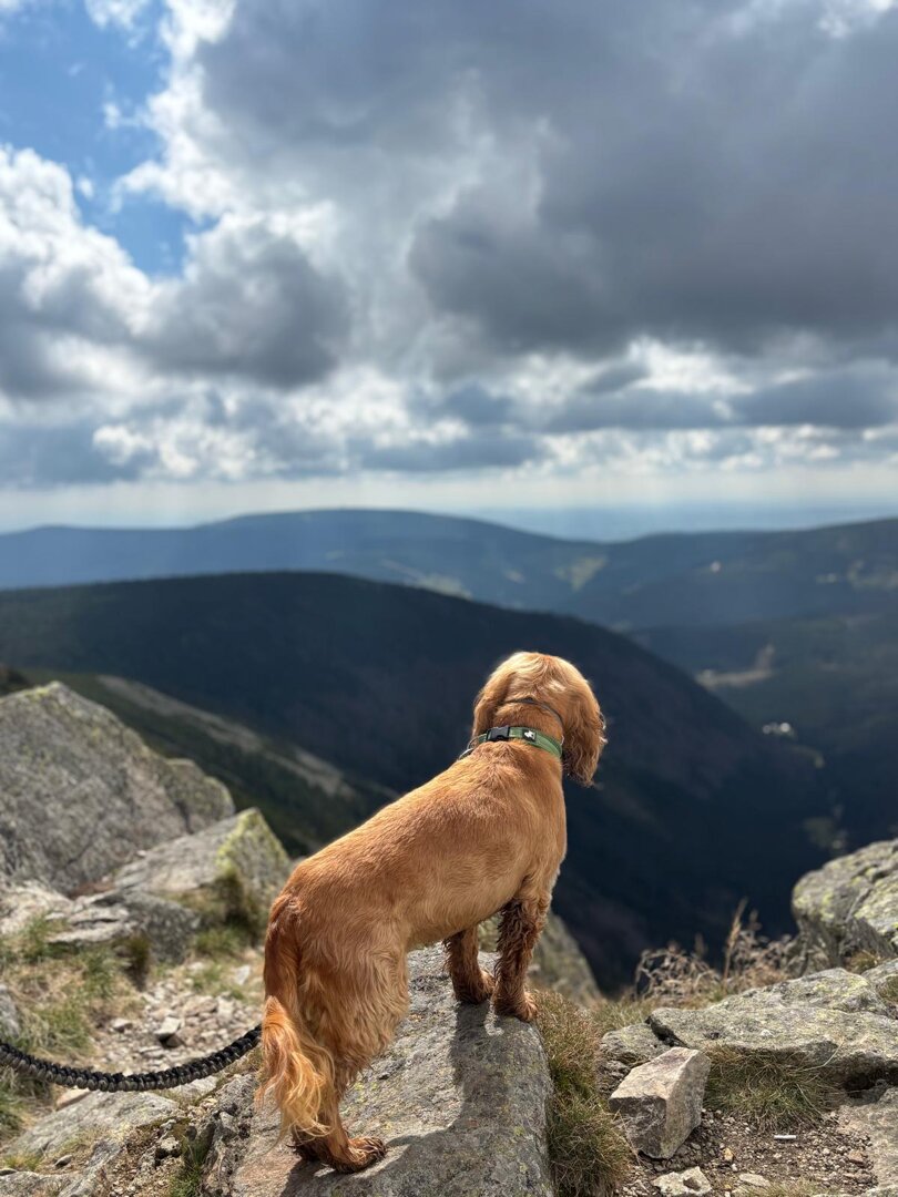 Mountain relaxation with breakfast
